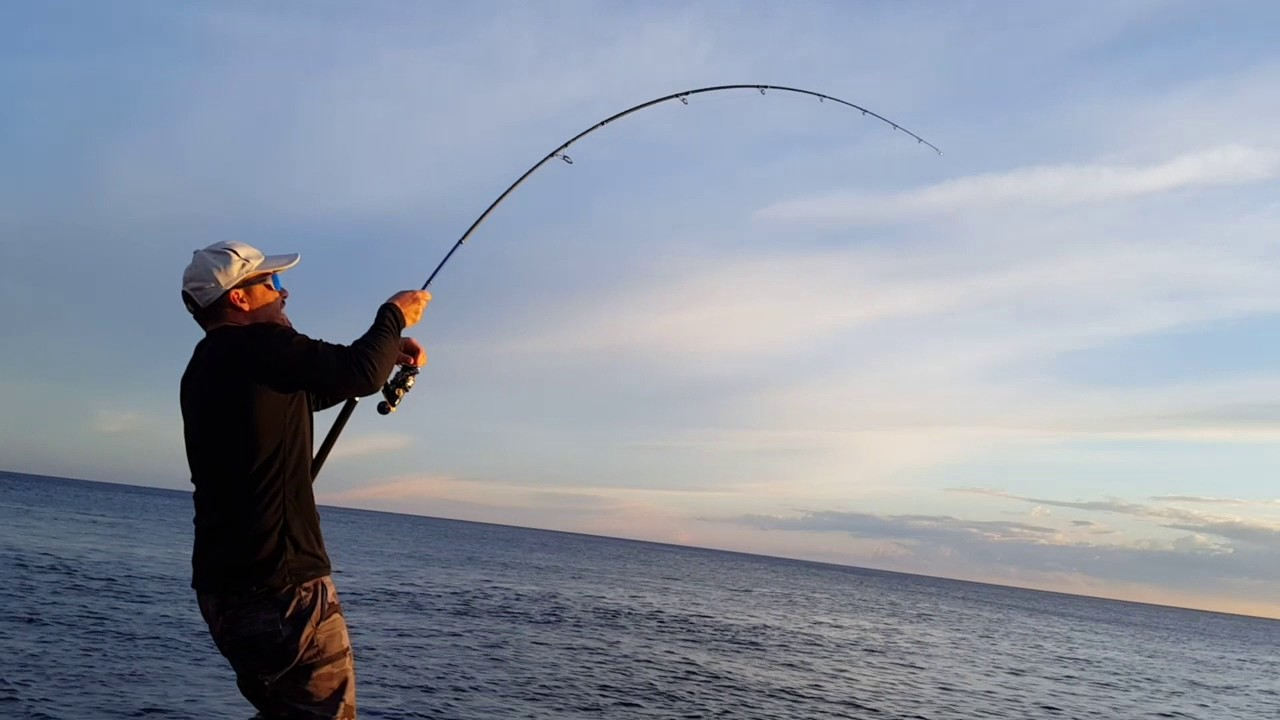 What is a Canna Pesca Travel and Why Choose It