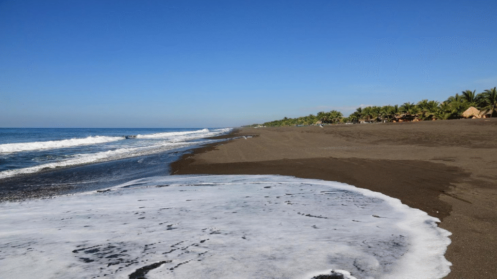 Monterrico